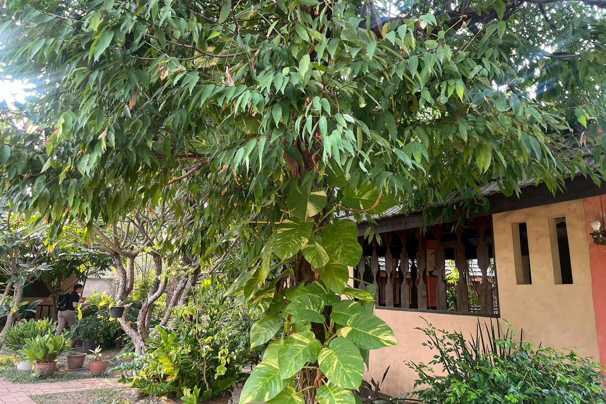 The Royal Shilton Resort Chiang Mai Eksteriør bilde
